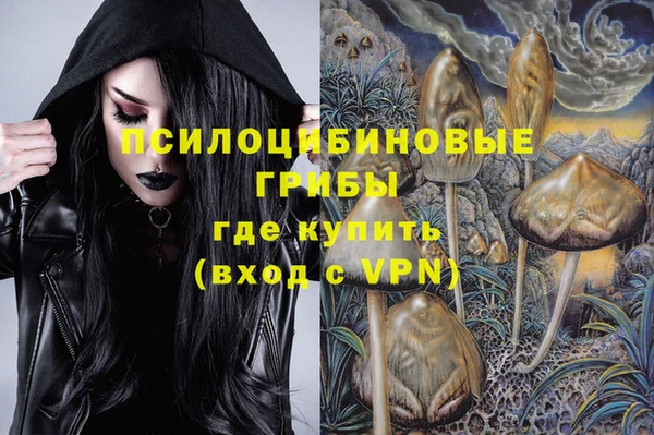 ешки Дмитровск