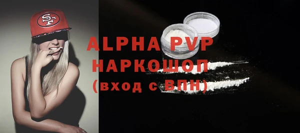 спиды Гусев