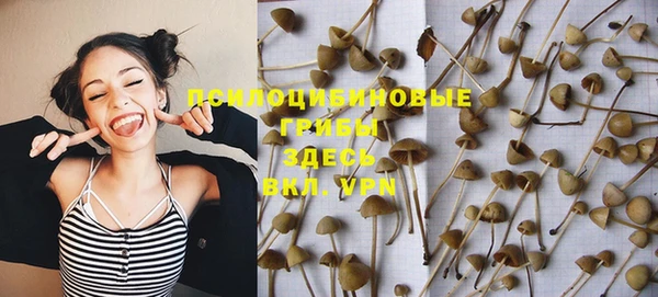 мдма Дмитриев